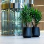 Pottery Pots Natural Pax ronde plantenbak zwart